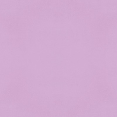 Color Vibe - Lilac