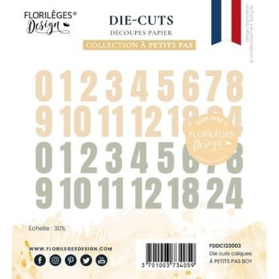 A petits pas - Die cuts Vellum BOY