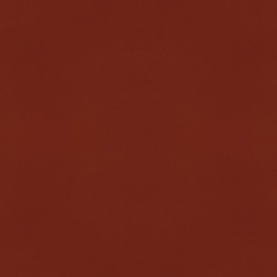 Color Vibe - Cinnamon