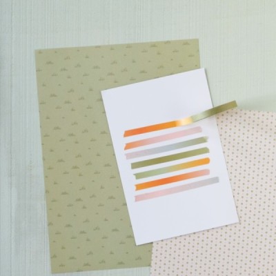 Salvaje - Washi Tape Arcoiris