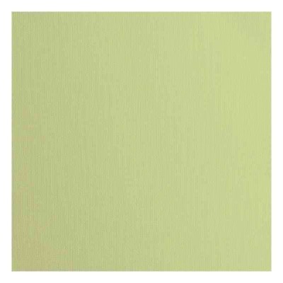 Florence 12x12" Texture -  Anise