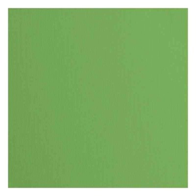 Florence 12x12" Texture -  Moss