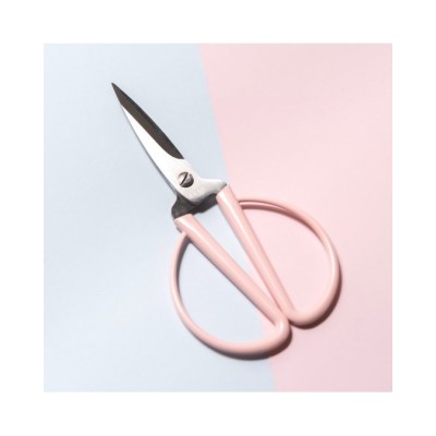 Forbici Coco Cut