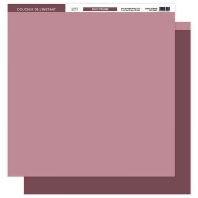 Carnet Nature - Tinta unita DUO PRUNE