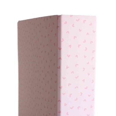 Album 9x12" Corazones rosa