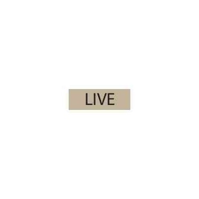 Mini fustella 2022 - Live