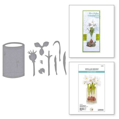 Fustella -Paperwhites and Glass Vase