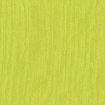 Bazzill Granny Smith