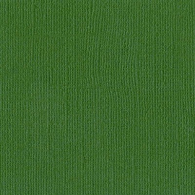 Bazzill Mono Canvas - Green